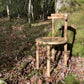 Chaise CURVE chêne naturel